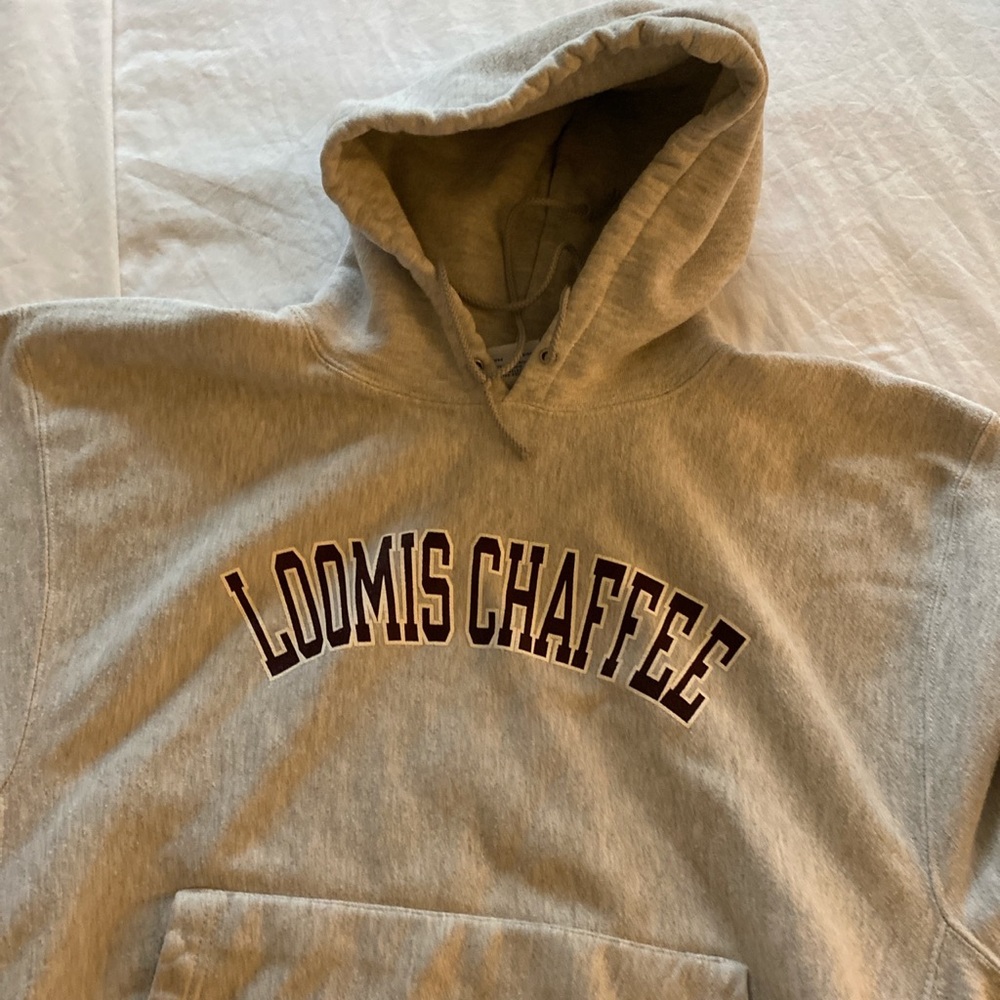 Reverse Weave Hoodie - image 2